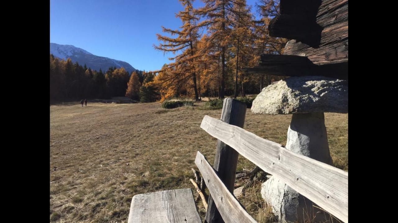 Ferienwohnung Im Chalet Firn - Og Bürchen Eksteriør billede