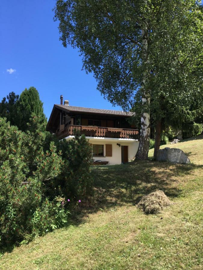 Ferienwohnung Im Chalet Firn - Og Bürchen Eksteriør billede